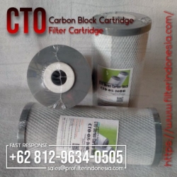 cto carbon block cartridge filter indonesia  medium
